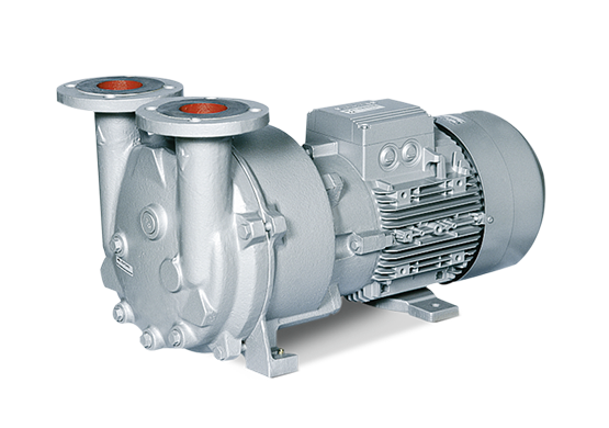 L-BV5 vacuum pumps