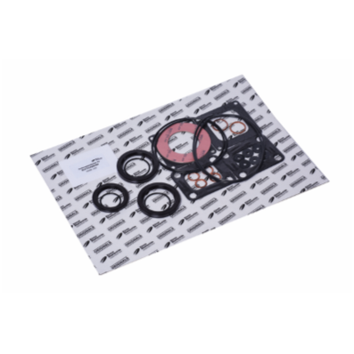 Elmo Rietschle Gasket Kit