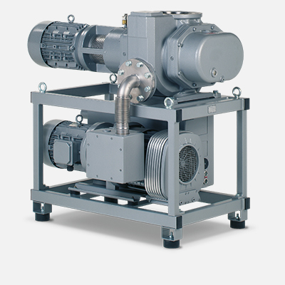 R-VPR vacuum pumps