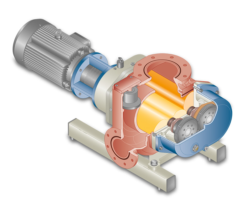 Rotary Lobe pump cross section