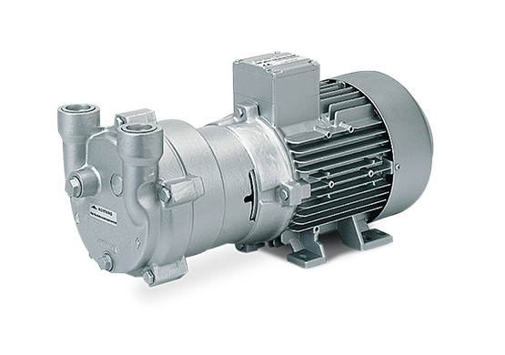 L-BV2 vacuum pumps