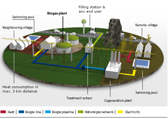 Biogas Systems